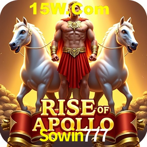 Security Systems Sowin777